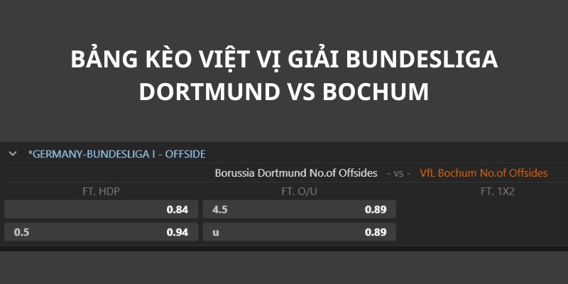 Bảng kèo việt vị trận từ Dortmund vs Bochum từ sảnh SABA Sports